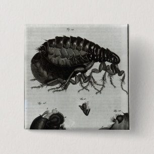Table IV of Flies and Fleas 2 Inch Square Button