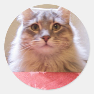 table manners sticker