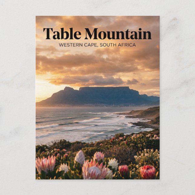 Table Mountain, Cape Town, Western Cape Postcard (Front)