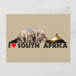 Table Mountain Elephant Family Postcard