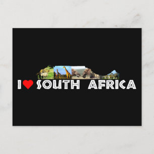 Table Mountain Wildlife Collage Postcard