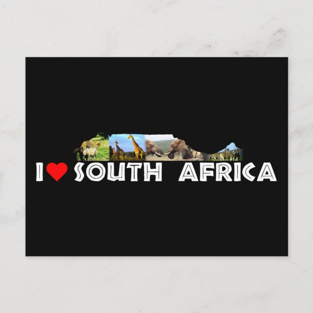 Table Mountain Wildlife Collage Postcard (Front)