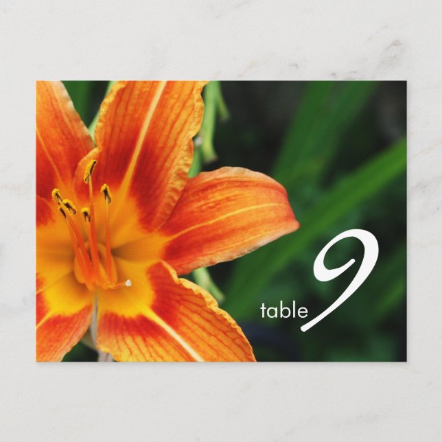 table number card (Front)
