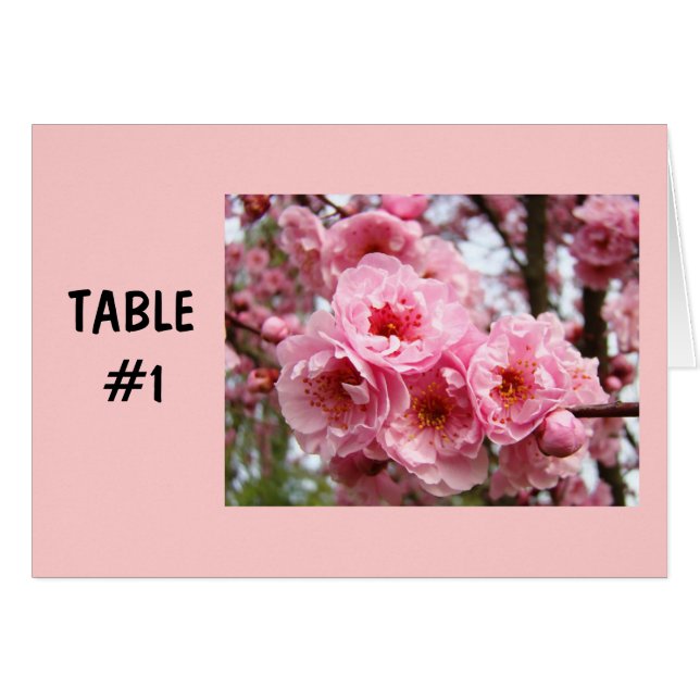 Table Number Cards Pink Blossoms Spring Parties (Front Horizontal)
