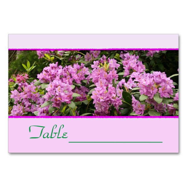 Table Rhododendron pourpre Numéro de tableau (Dos)