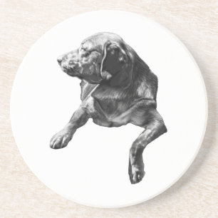Table-Side Pause, Labrador Coaster