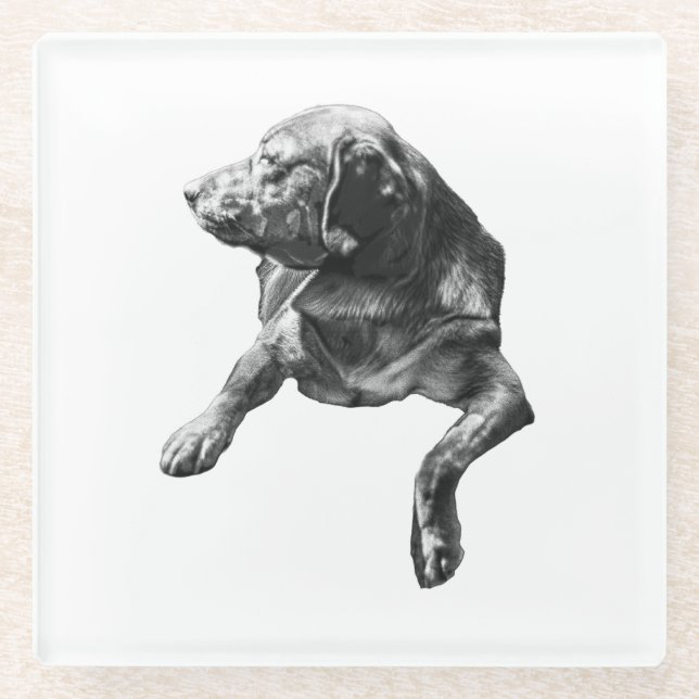 Table-Side Pause, Labrador Glass Coaster (Front)