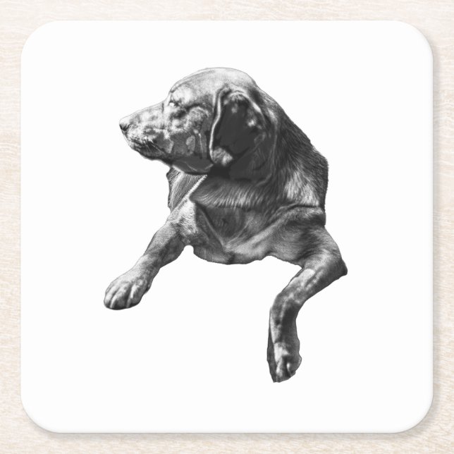 Table-Side Pause, Labrador Square Paper Coaster (Front)
