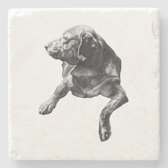 Table-Side Pause, Labrador Stone Coaster (Front)