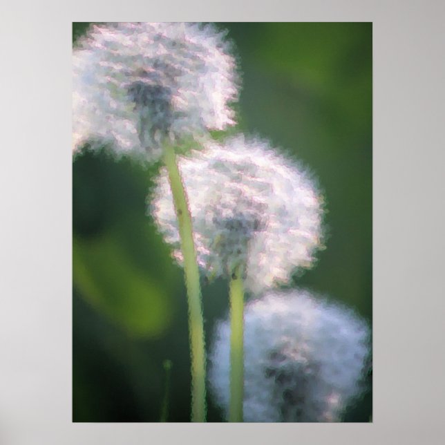 Tableau à trois fleurs de pissenlit (Devant)