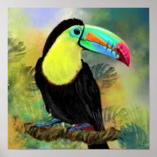 Tableau de l'affiche d'oiseaux Toco Toucan
