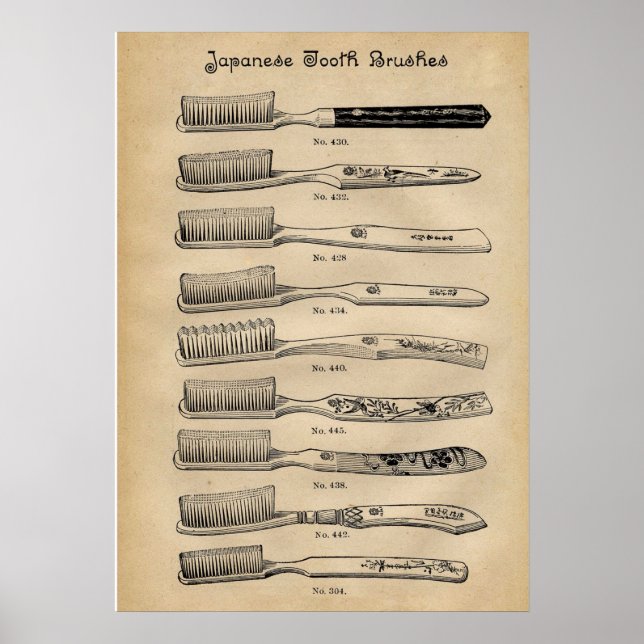 Tableau des brosses à dents japonaises pour dentis (Devant)