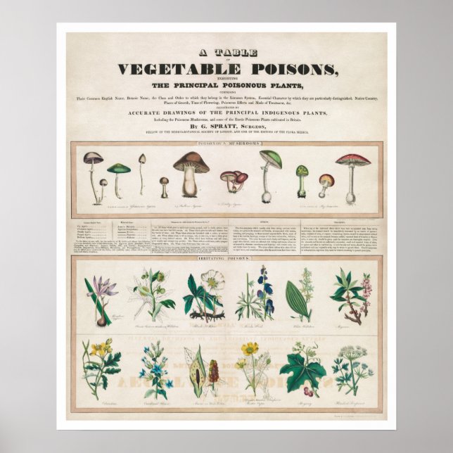 Tableau des poisons végétaux Vintages (Devant)