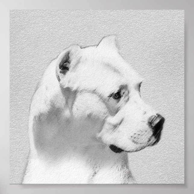 Tableau Dogo Argentino - Art Chien original (Devant)