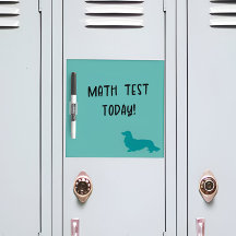 Longue Cheveux Dachshund Turquoise Cuisine Note Ca