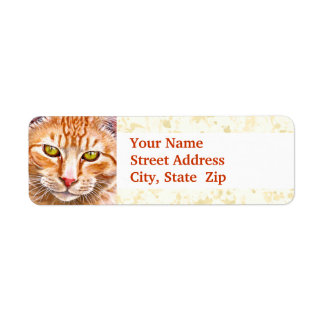Tableau Tabby Orange