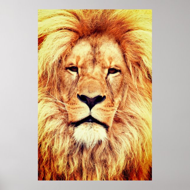 Tableau Visage Lion Artwork-17335 (Devant)