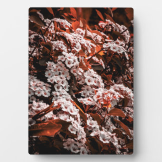 Tabletop flower plaque