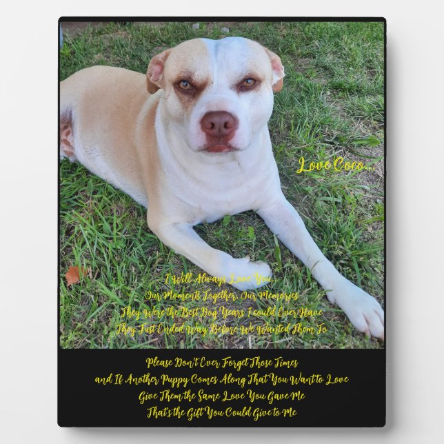 Tabletop Plaque with Easel (Front)