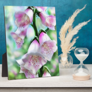Tablette Plaque Foxglove Art dans les couleurs pas