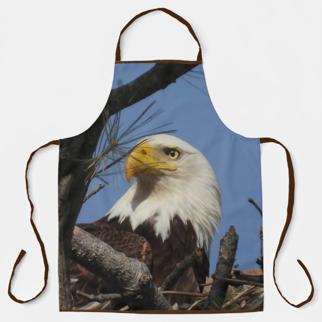 Tablier Aperon de l'aigle mâle (Recto)