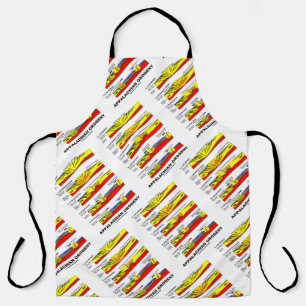 Tablier Appalaches Orogeny Mountain Building Au Fil Du Tem