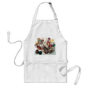 Tablier Apron des coquillages