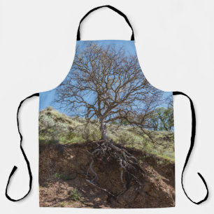 Tablier Arbre nu en montagne pendant la journée