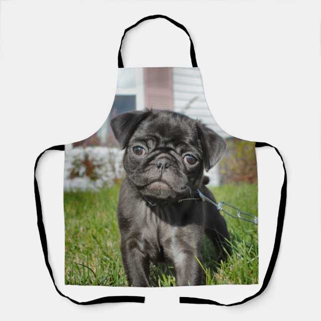 Tablier B ; chiot en Carlin rack (Recto)