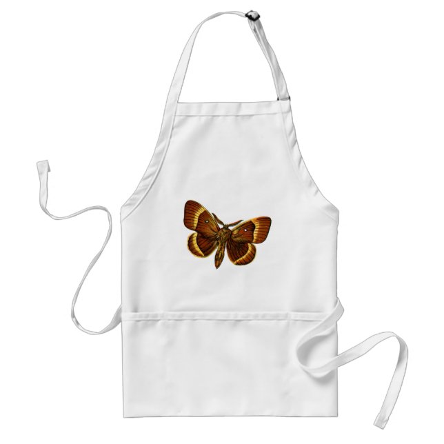 Tablier Bombyx quercus mâle (Devant)