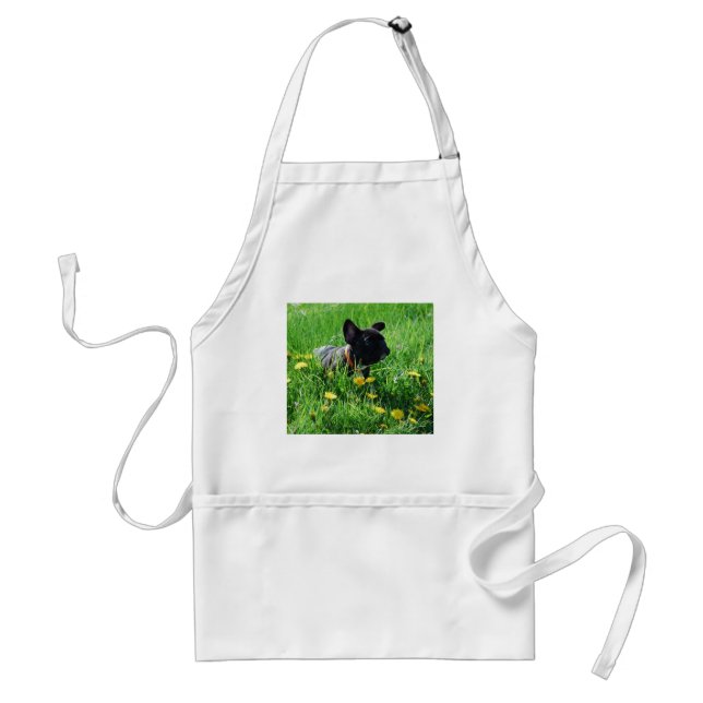 Tablier Bouledogue français sur pelouse (Devant)