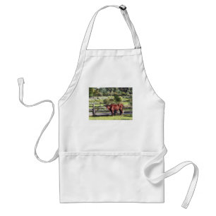 Tablier Bull dans le pâturage