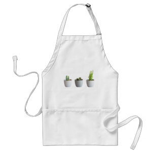 Tablier Cactus in pots