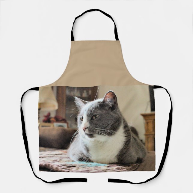 Tablier Cat (Recto)