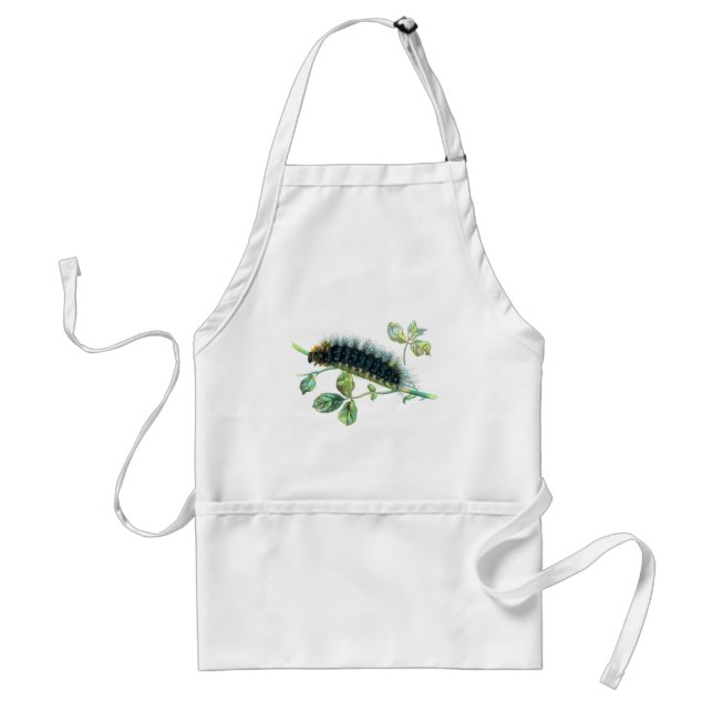 Tablier Caterpillar Arctia caja (Devant)