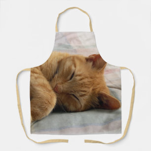 Tablier Chat à gingembre couché