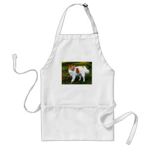 Tablier Collie sur la pelouse