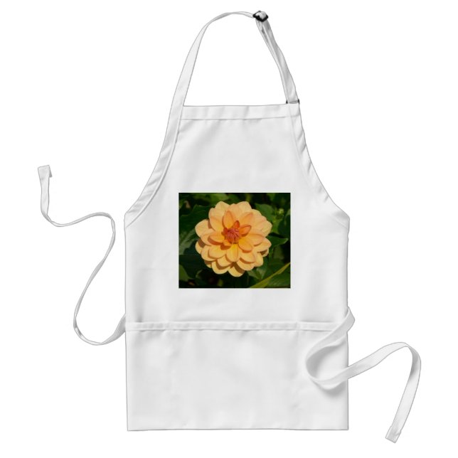 Tablier Dahlia 'David Howard' (Devant)