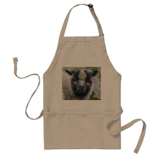 Tablier de Lambster