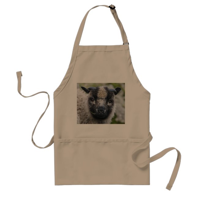 Tablier de Lambster (Devant)