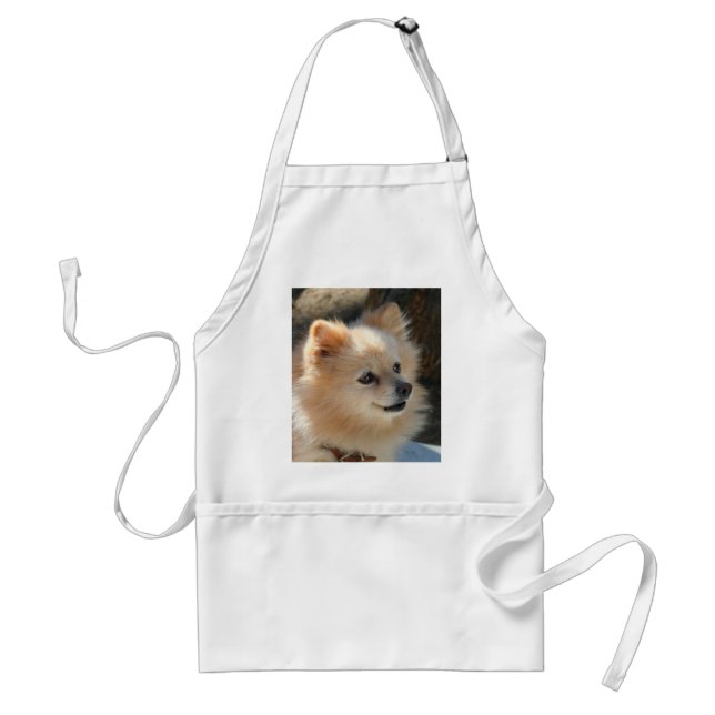 Tablier de Pomeranian (Devant)