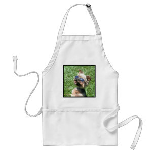 Tablier frais de Yorkshire Terrier