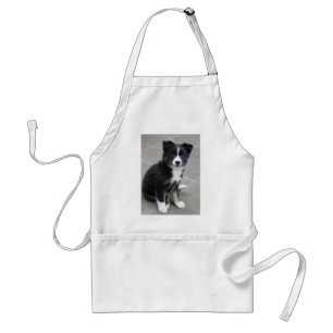 Tablier Islandhund