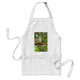 TABLIER KOOKABURRA QUEENSLAND AUSTRALIE
