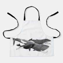 La Nage Des Baleines Illustration Art Whale Kids