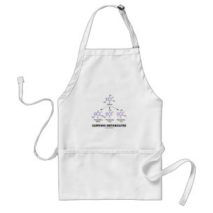 Tablier Métabolites de caféine (chimie de molécule de