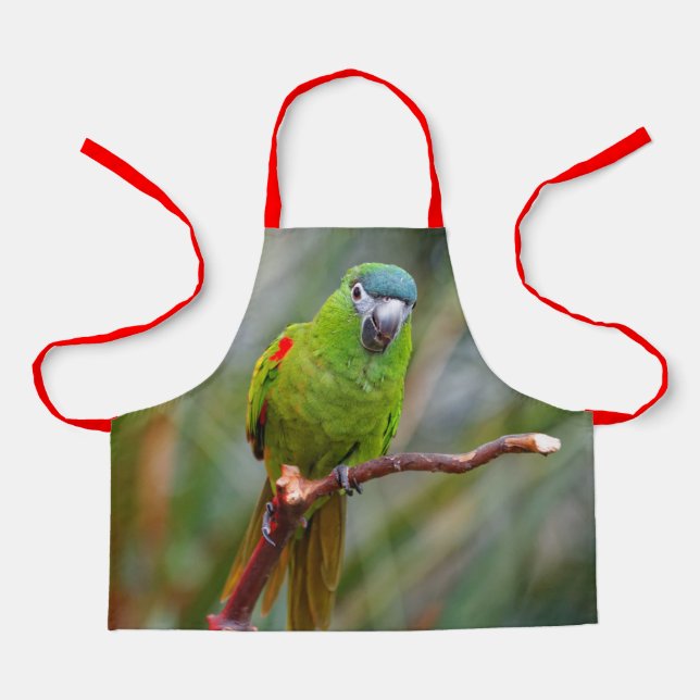 Tablier Mini Macaw Parrot Bird à l'épaule rouge de mignonn (Recto)