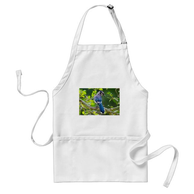 Tablier Nature Photographie Shy Blue Jay Vêtements Cadeaux (Devant)