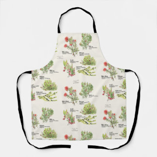 Tablier Parc national des volcans de l'île d'Hawaï