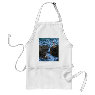 Tablier Pélicans Sur Les Rochers De Mer,